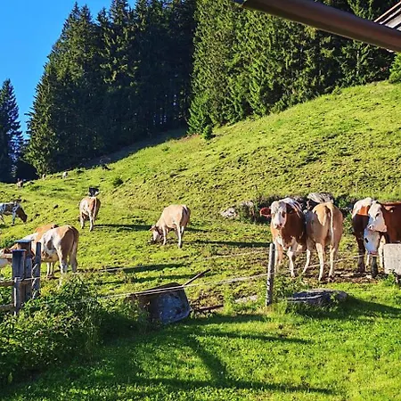 Obernberg Aurach bei Kitzbuehel