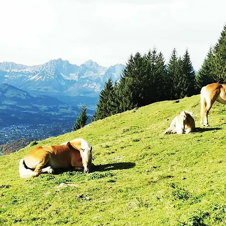Farma Obernberg Aurach bei Kitzbuehel